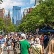 Summer at Open Newbury